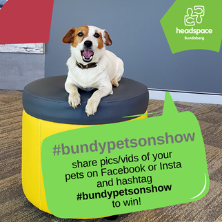 headspace #bundypetsonshow