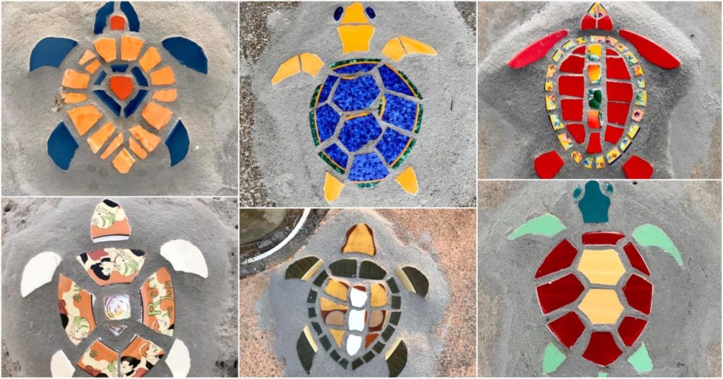 turtle art