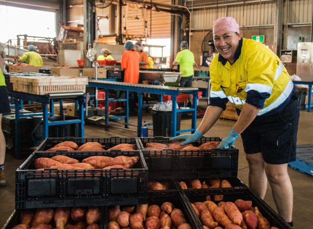 Sweet Potatoes Australia Covid-19