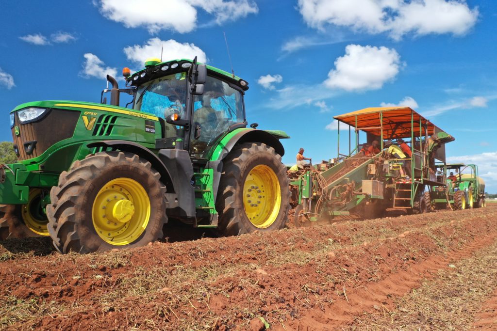 Sweet Potatoes Australia Covid-19