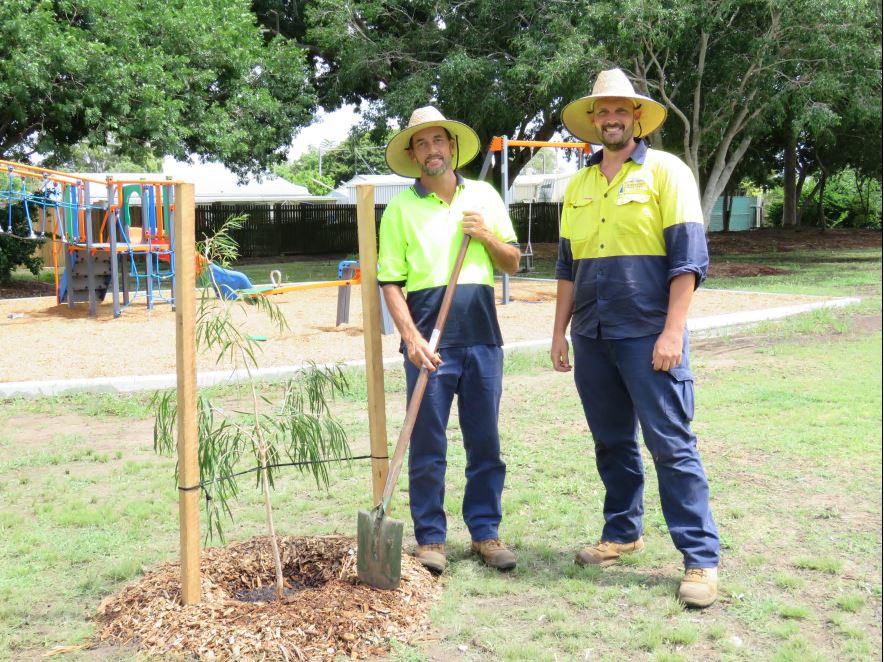 tree planting