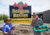 Bargara Berries Meadowvale