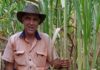 Sugar Research Australia