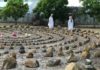 Labyrinth