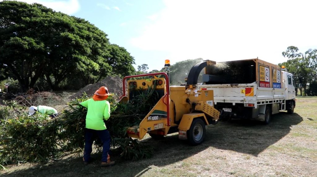 bamboo mulching