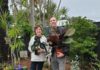 indoor plants popular covid-19