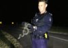 snake catching