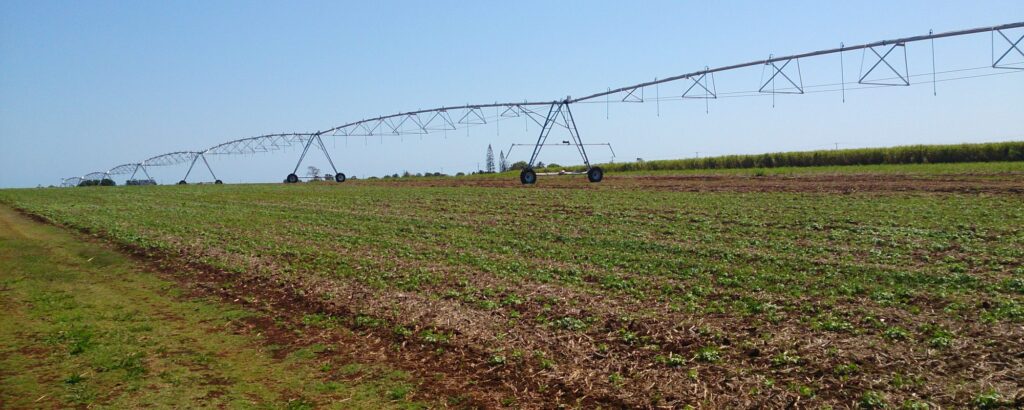 Irrigation rebate available to local growers