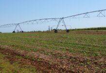 Irrigation rebate available to local growers