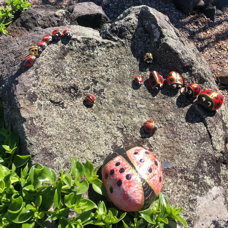 Fairy Garden Burnett Heads