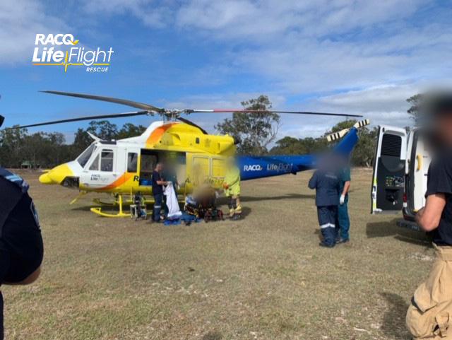 Wallaby collision