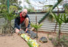 Snakes Downunder