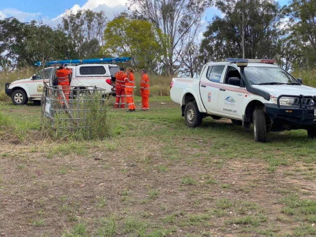 SES rescue dog