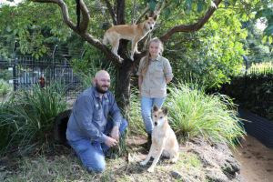 Alexandra Park Zoo Reopening