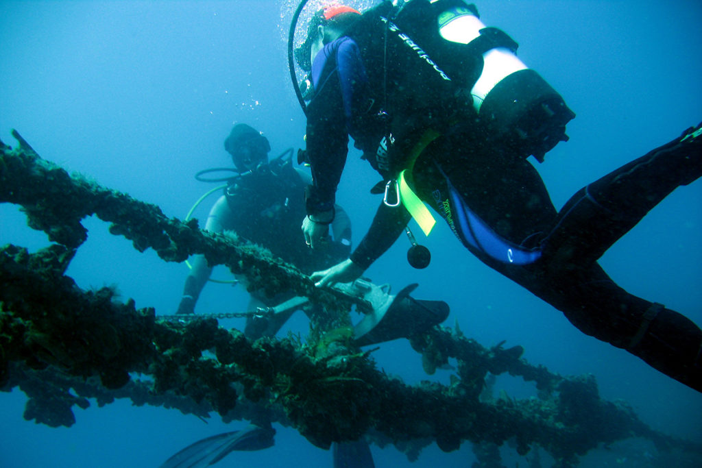 Divers check out the region’s local wrecks