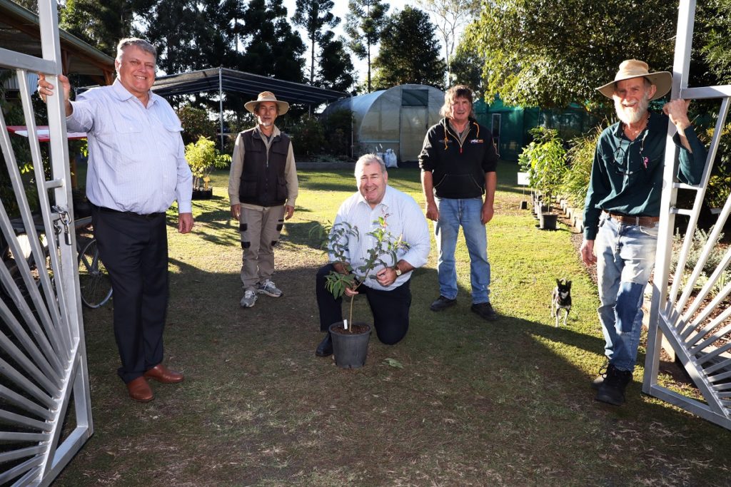 Landcare trees