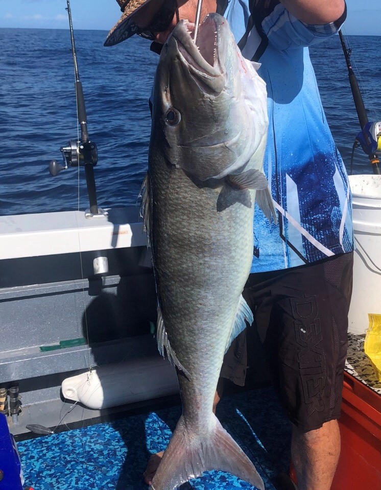 Tony Turner with the 12.5kg jobfish he caught recently. It measured 105cm and was caught 65klms off Bundaberg.