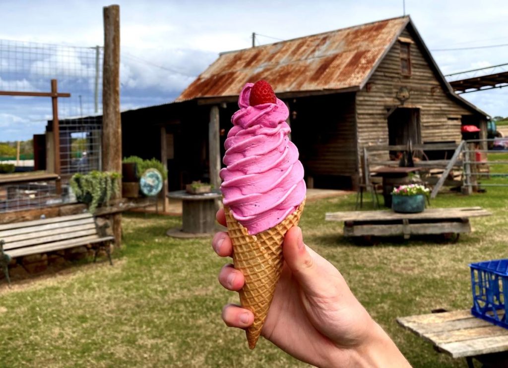 dragon fruit and lime ice cream