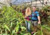 Exotica Plants