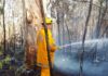 Greensill firefighting donation