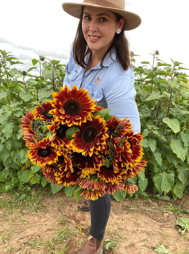 anastasi blooms ruby passion sunflowers