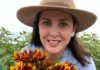 anastasi blooms ruby passion sunflowers