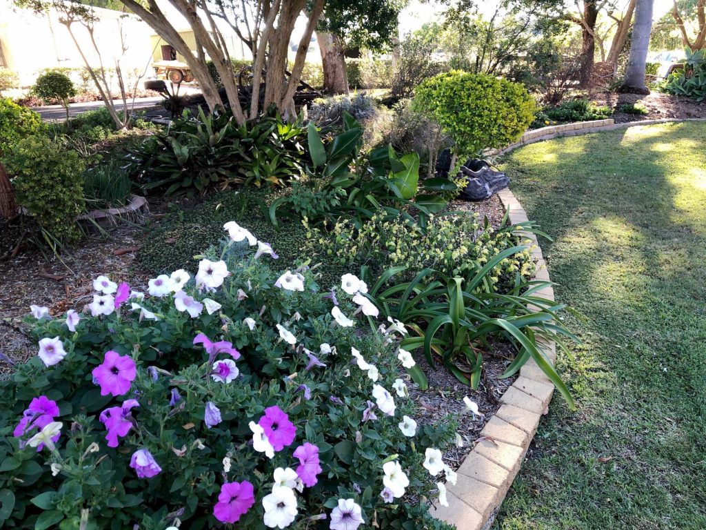 vineyard garden