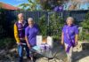 Relay for Life Young at Heart
