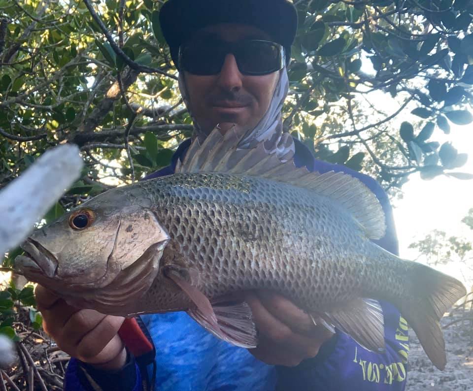 Jesse Spence with the lovely mangrove jack he caught recently.