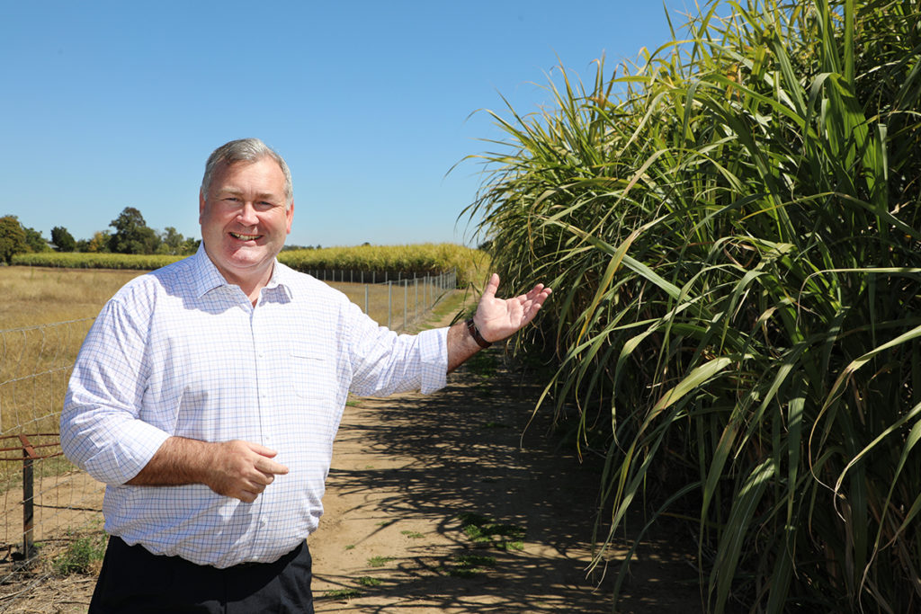 Farm buffer zones