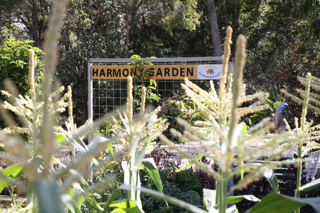 Tom Quinn Centre gardens