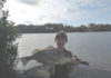 River Felstead with the grunter he caught at Baffle Creek recently.