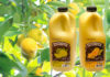 Bundy Juice Lime Juice and Lemon Juice