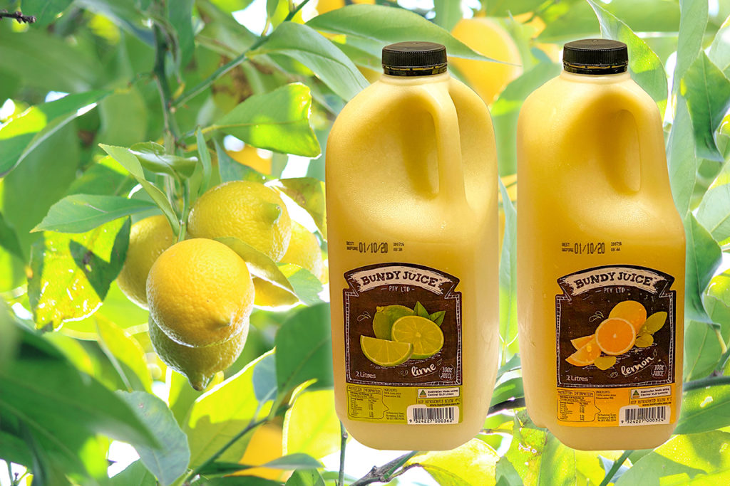 Bundy Juice Lime Juice and Lemon Juice