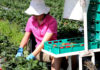 agriculture career