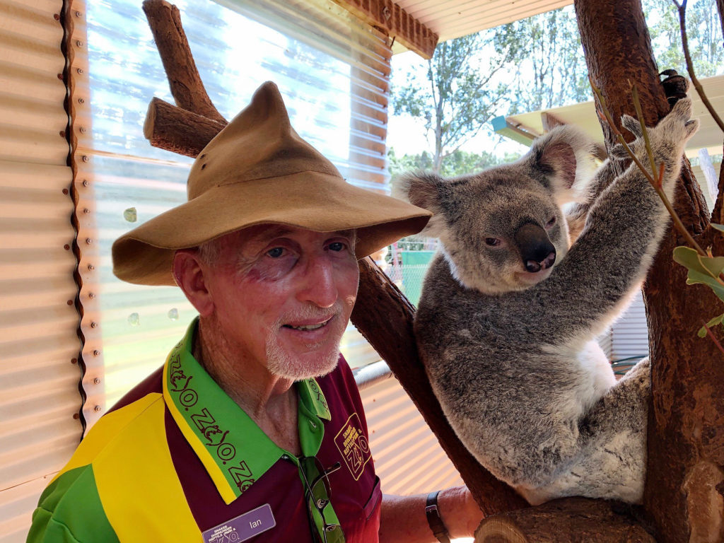 Ian Jenkins, owner of Snakes Downunder Reptile Park and Zoo with “Matilda” one of three female koalas at the zoo.