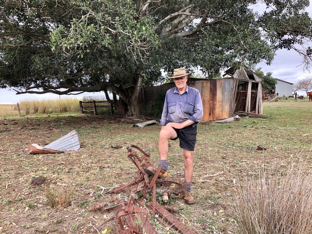 Old buildings and trees have been some of the favoured nesting sites for Indian Myna birds around Eric Lester’s Cordalba property.