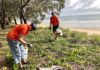 Weeding out the nasties! Heather Wieland (left) and Vicki Williams undertake their usual Wednesday morning activities as Woodgate Weedbusters.