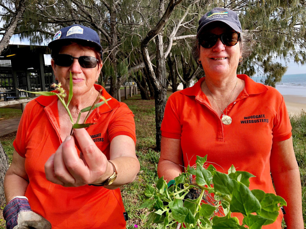 Not so nice for bare feet. This burr is one of the plants the Woodgate Weedbusters including Heather Wieland (left) and Vicki Williams are seeking to eradicate.