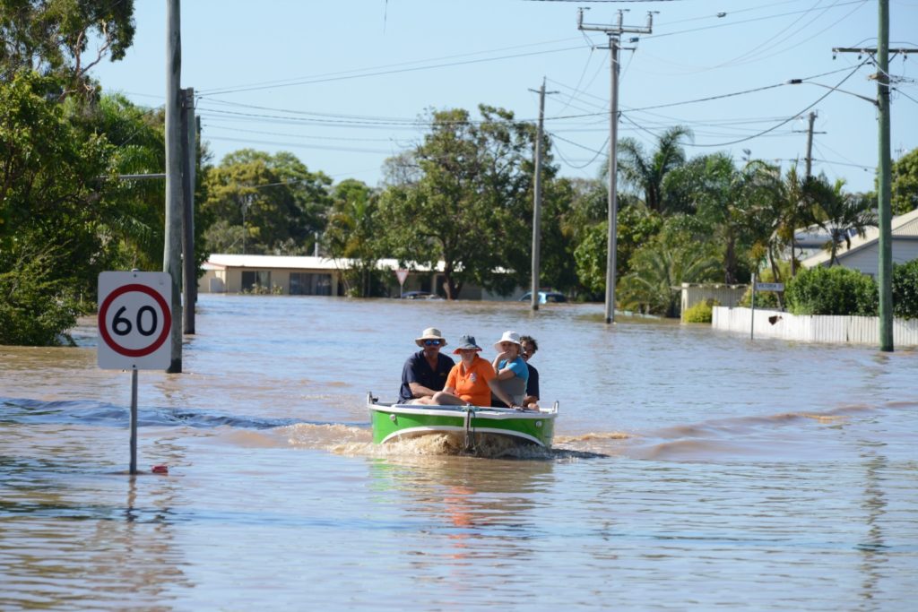 Flood levee