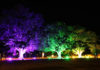 Pride festival