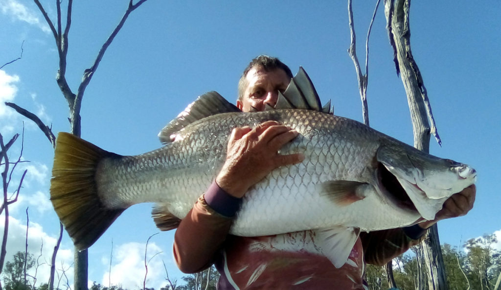 Monduran Barramundi