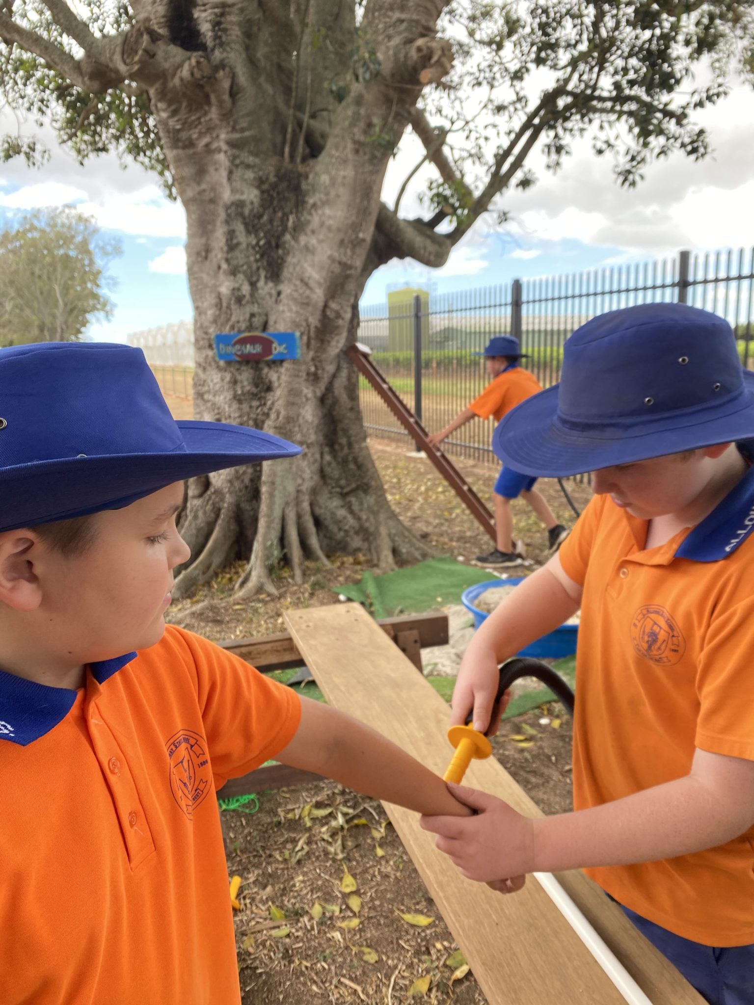 Alloway State School