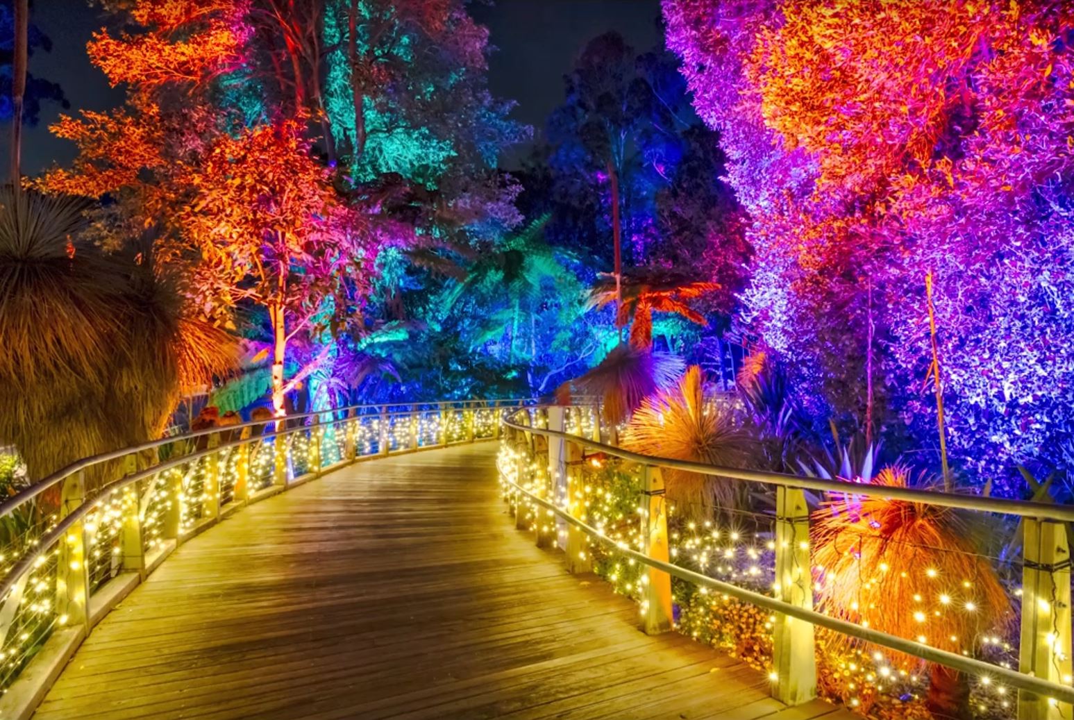 The Magical Enchanted Gardens In Roma Street Parklands Brisbane Australia Stock Photo Alamy