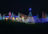 Thomas Healy Christmas