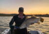 Lake Monduran Barramundi