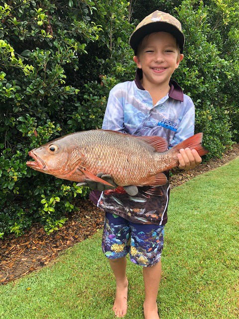 Young Harry caught Mangrove Jack in Baffle Creek