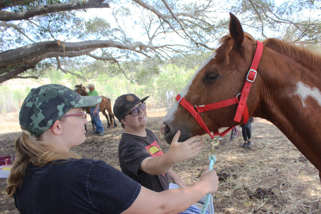 Rivendells equine therapy