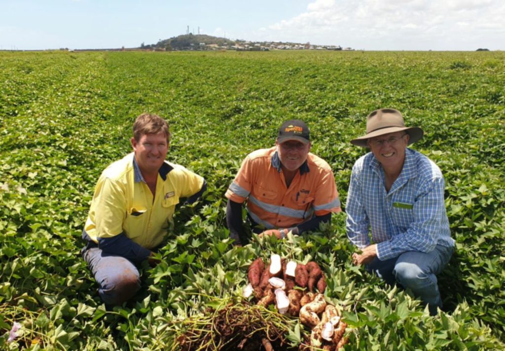 Bundaberg Fresh