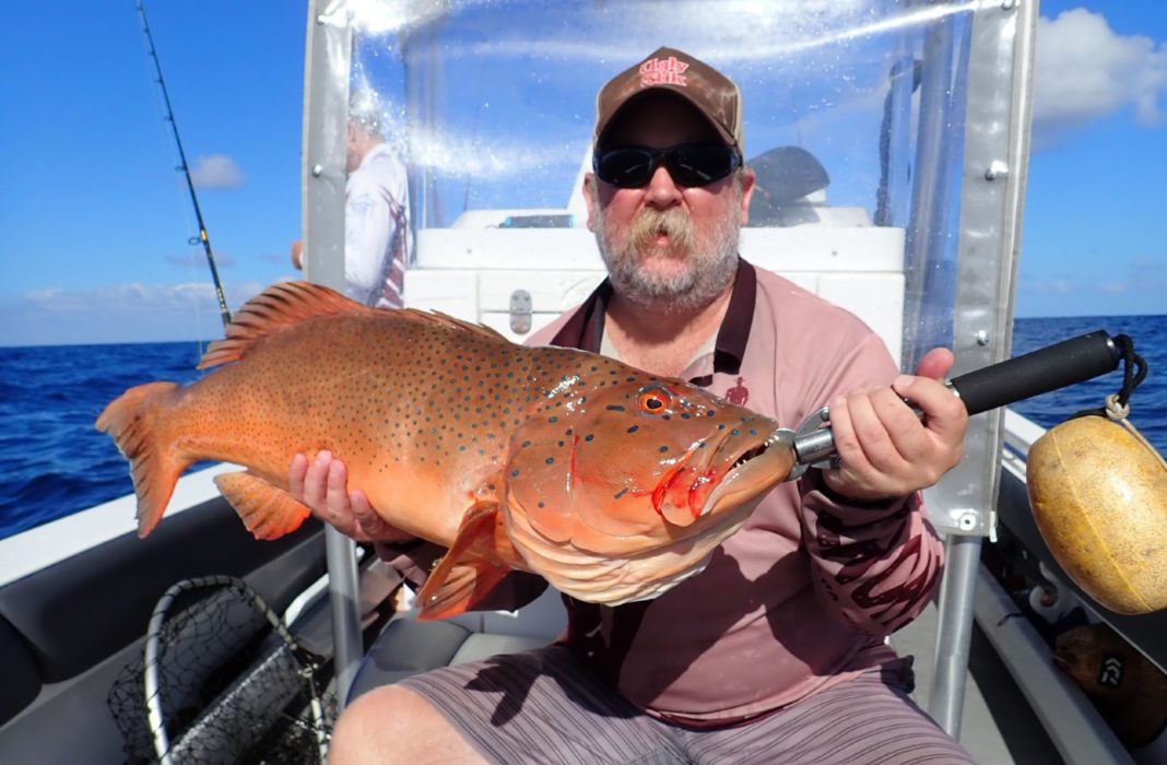 Coral trout biting offshore with waxing moon Bundaberg Now